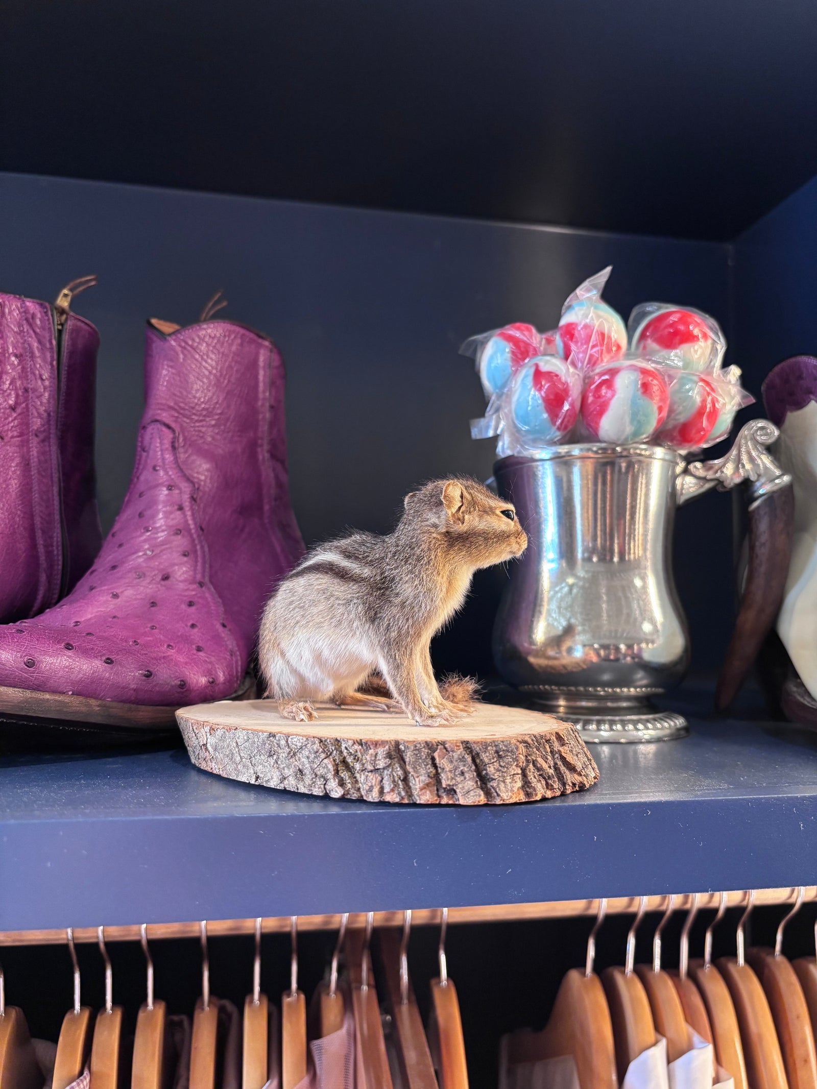 Taxidermy Chipmunk