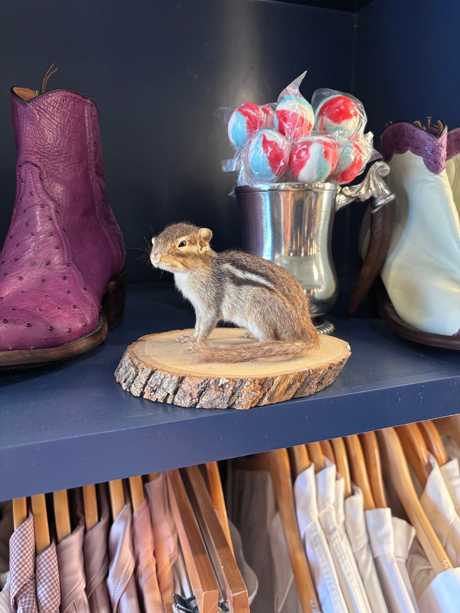 Taxidermy Chipmunk