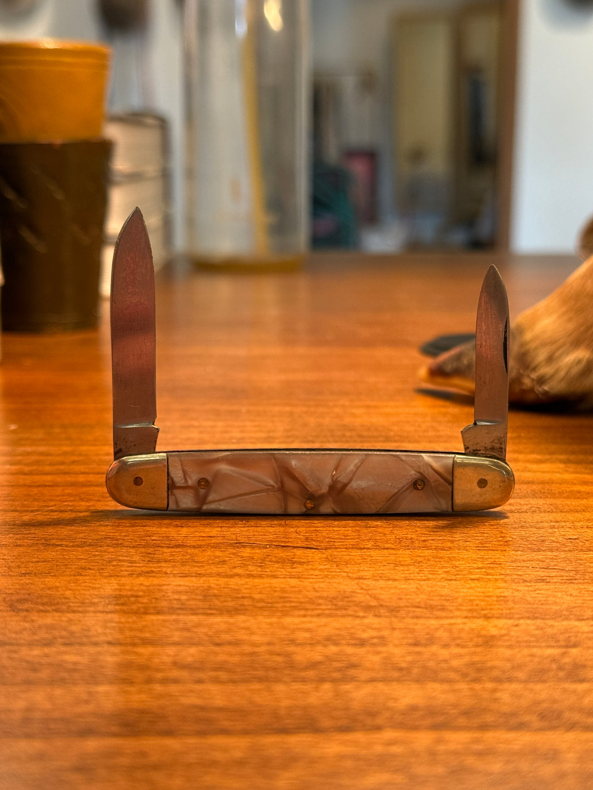 Pocket Knife
