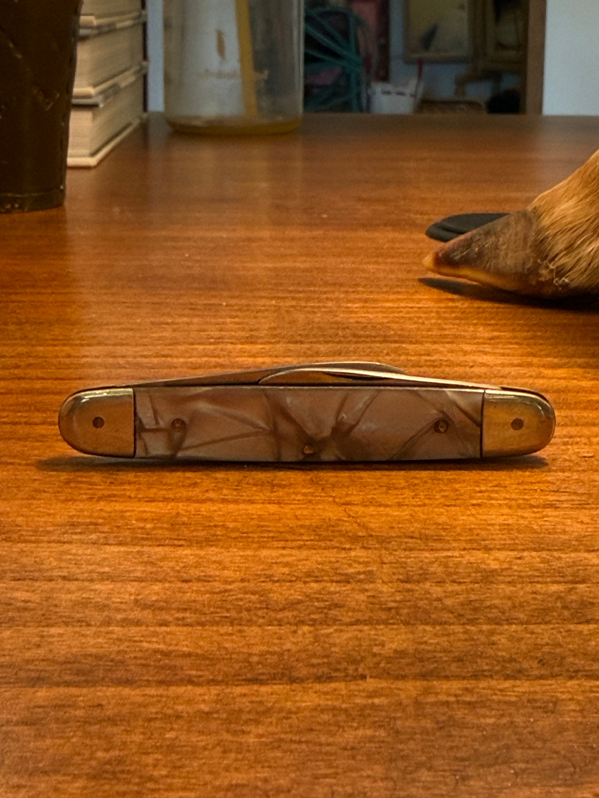 Pocket Knife