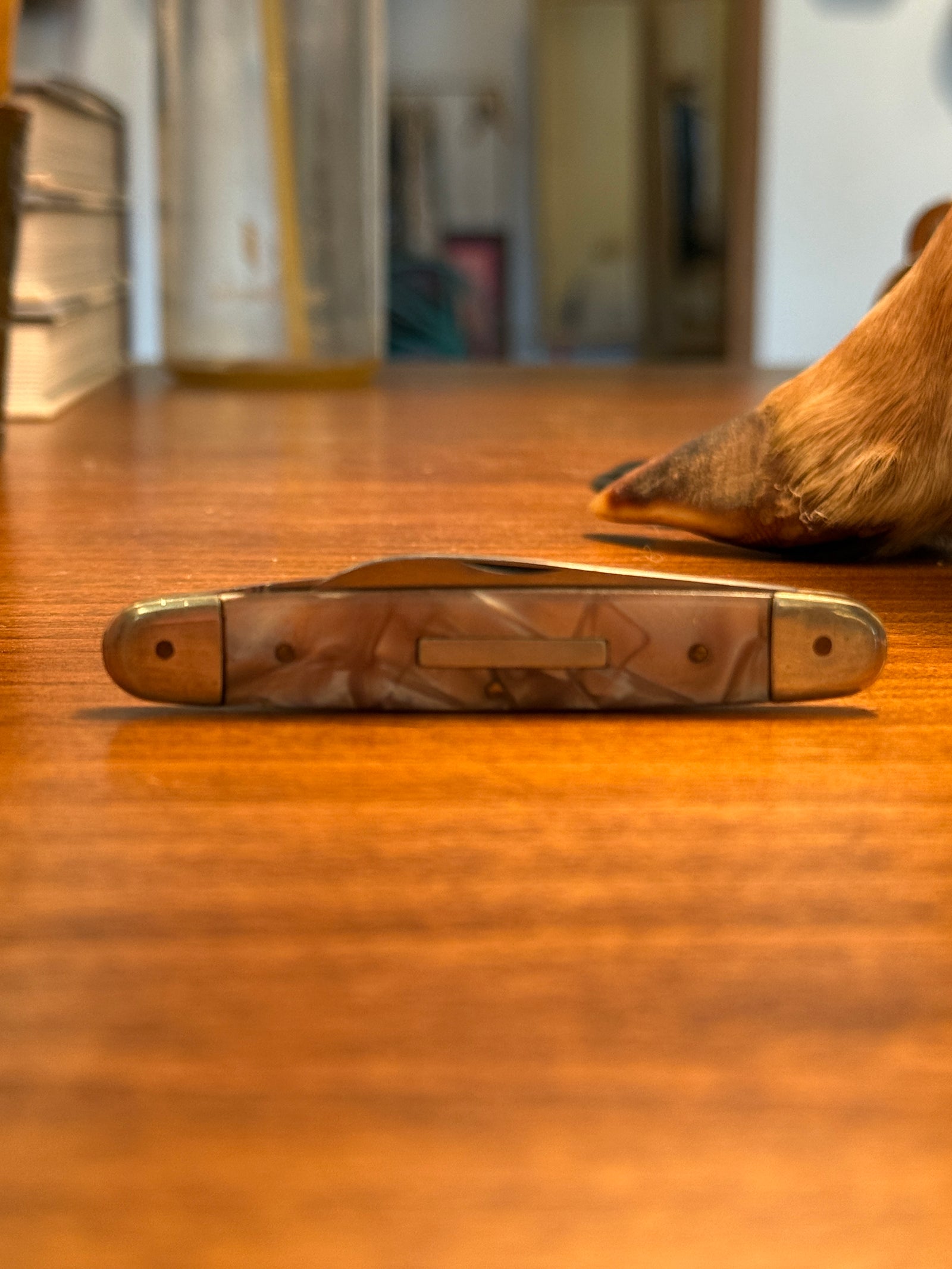 Pocket Knife