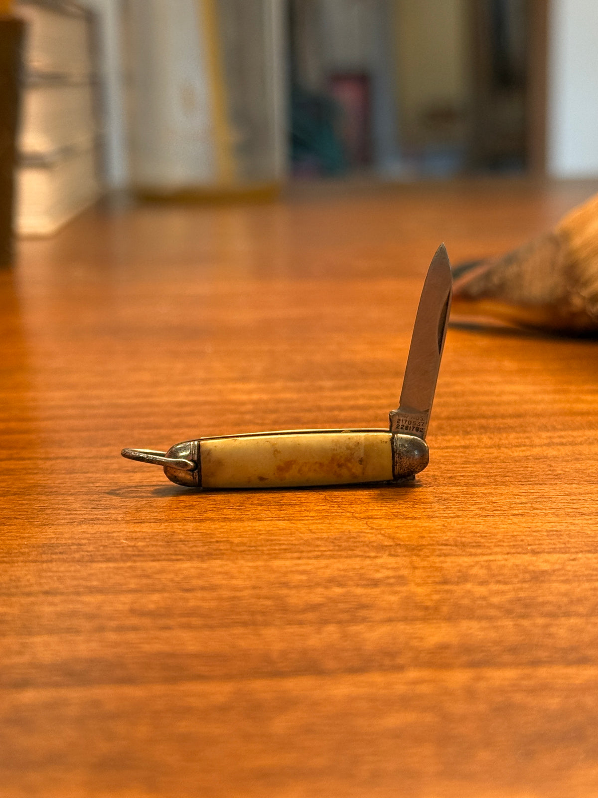 Pocket Knife