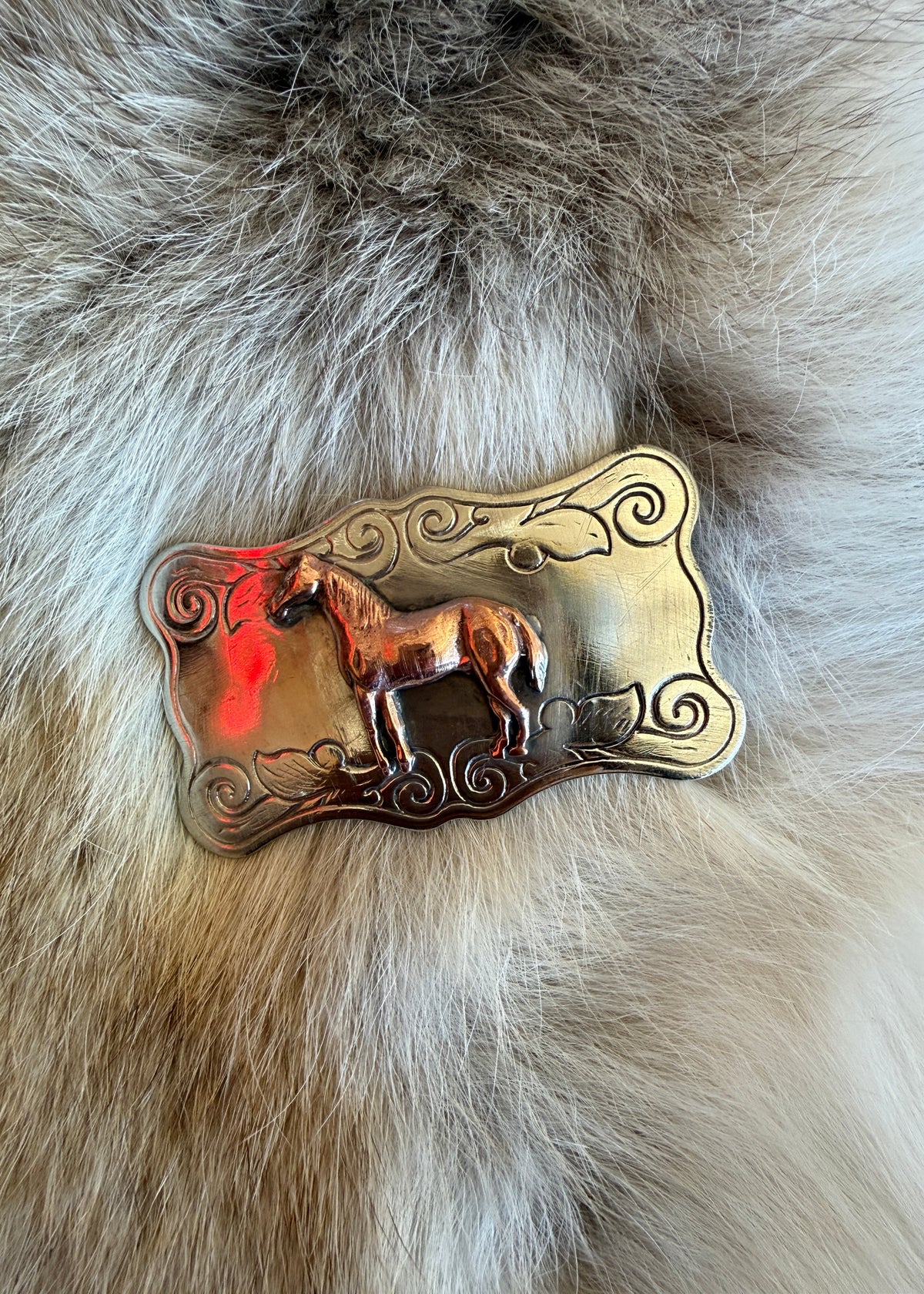 Mini Horse Buckle
