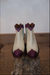 Maddie Boot Purple