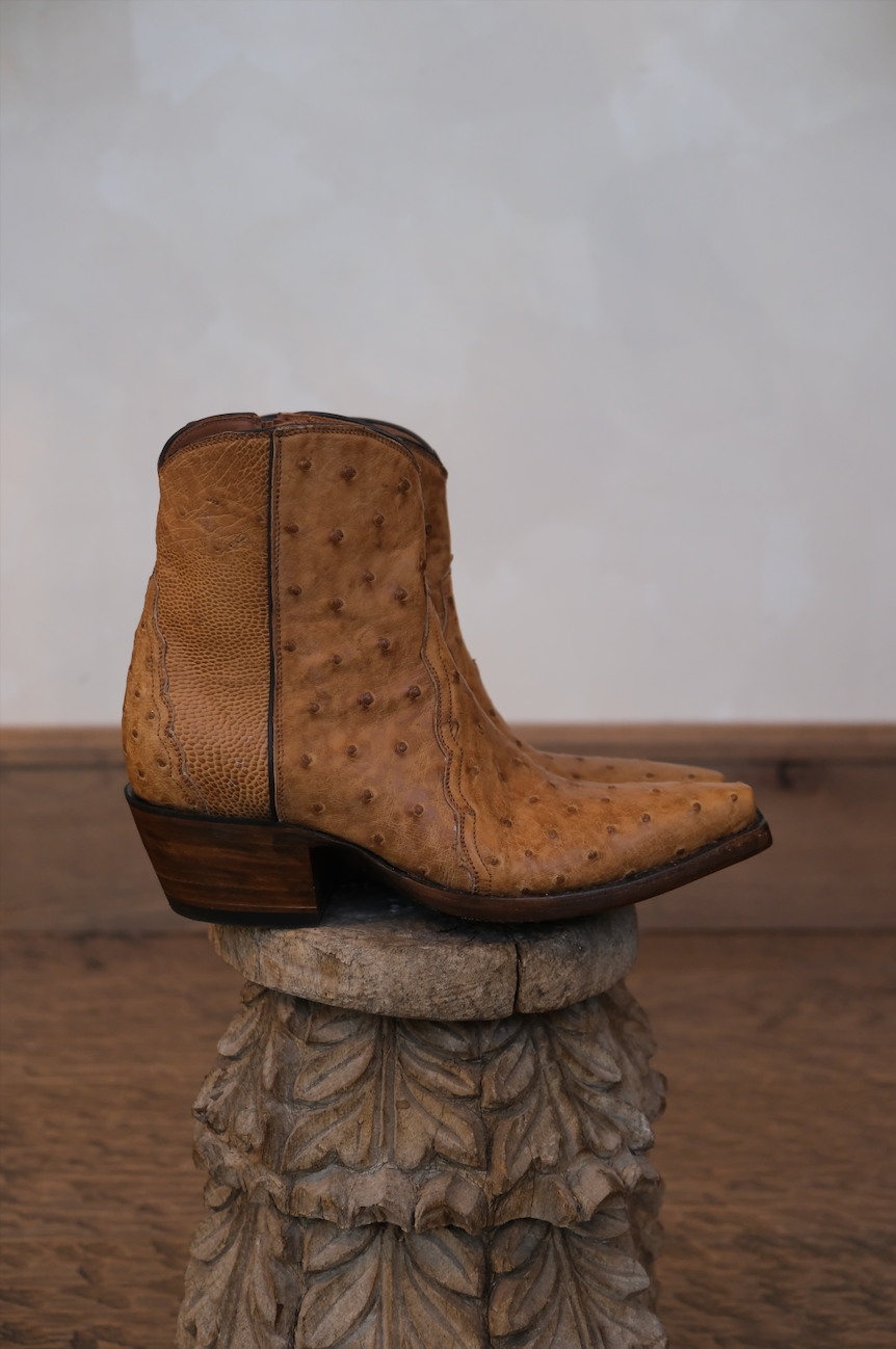 The Addi Patrona Boot