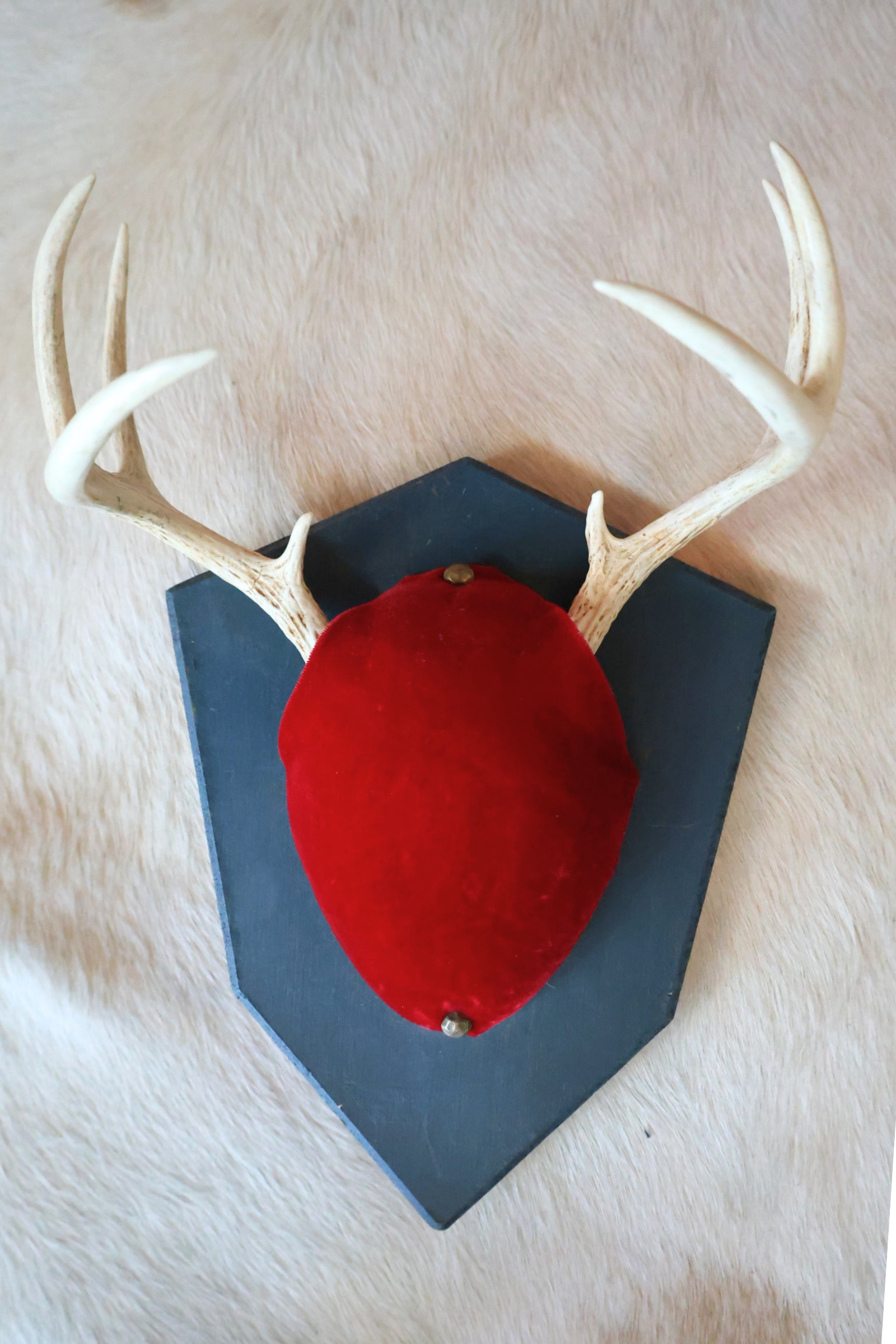Antler Wall Mount